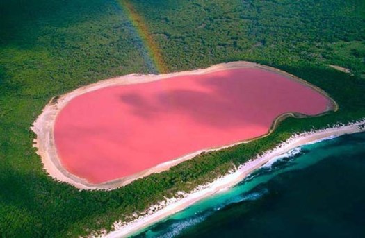 pink-lake-2.jpg
